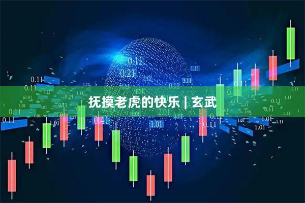 抚摸老虎的快乐 | 玄武