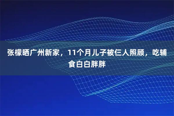 张檬晒广州新家,11个月儿子被仨人照顾,吃辅食白白胖胖