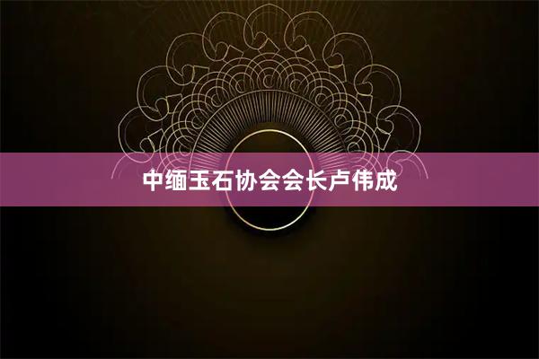 中缅玉石协会会长卢伟成