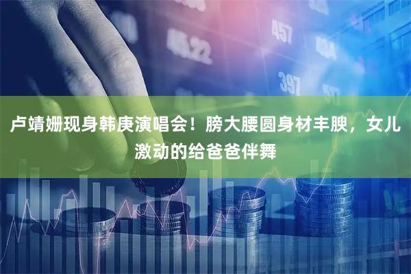 卢靖姗现身韩庚演唱会！膀大腰圆身材丰腴，女儿激动的给爸爸伴舞